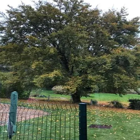 度假居 Charming In 马尔梅迪